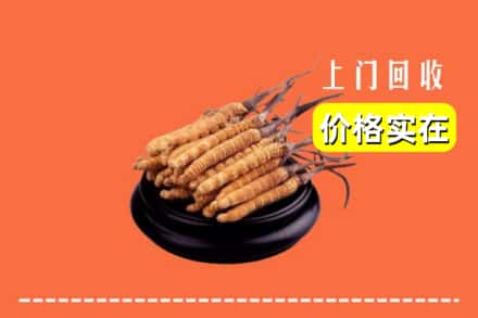 溪湖区回收冬虫夏草